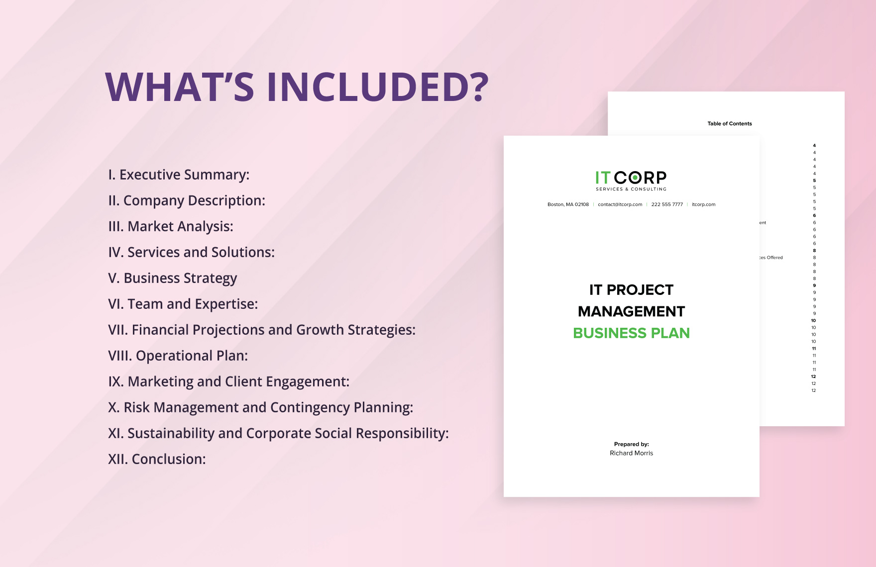 IT Project Management Business Plan Template