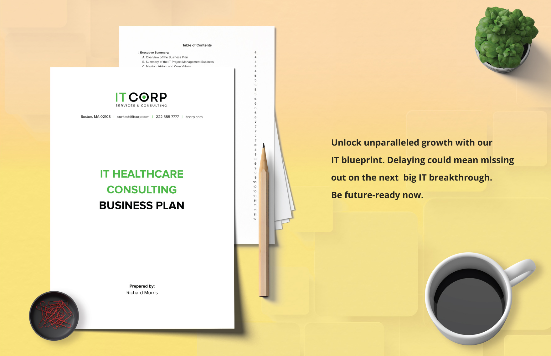 healthcare consulting business plan template