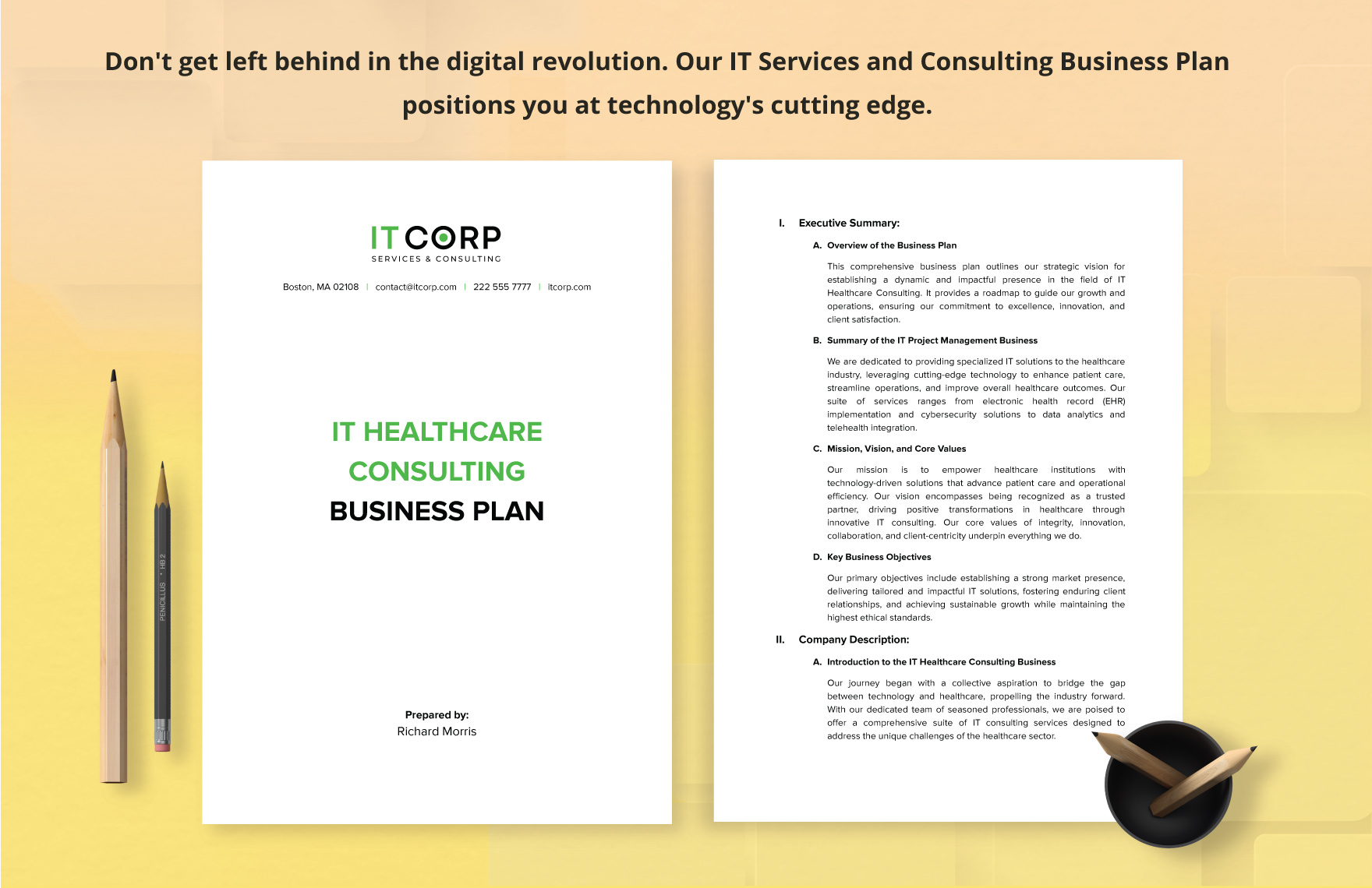 medical consulting business plan