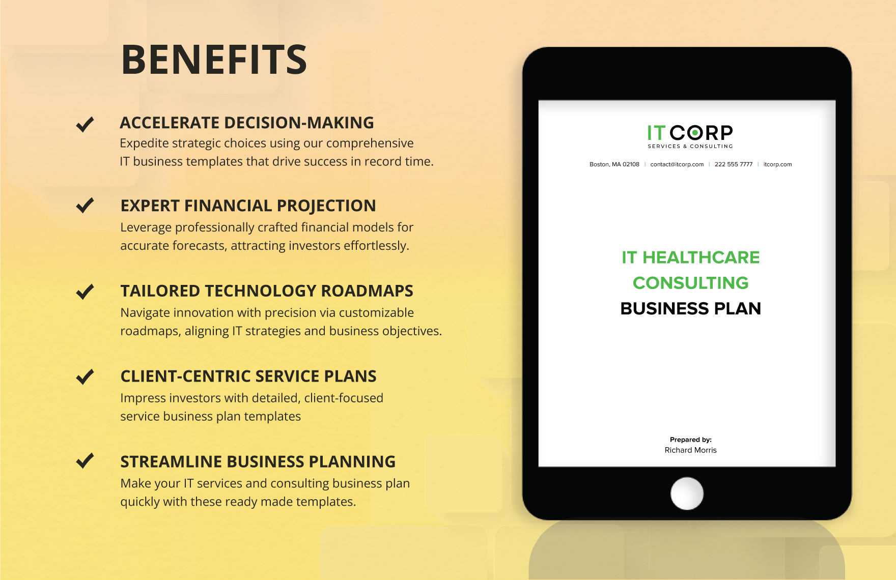 IT Healthcare Consulting Business Plan Template