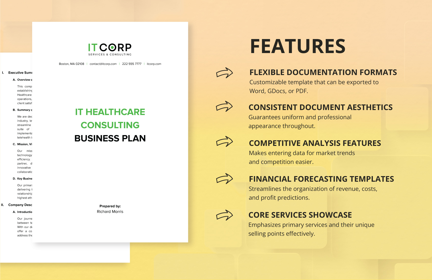 IT Healthcare Consulting Business Plan Template