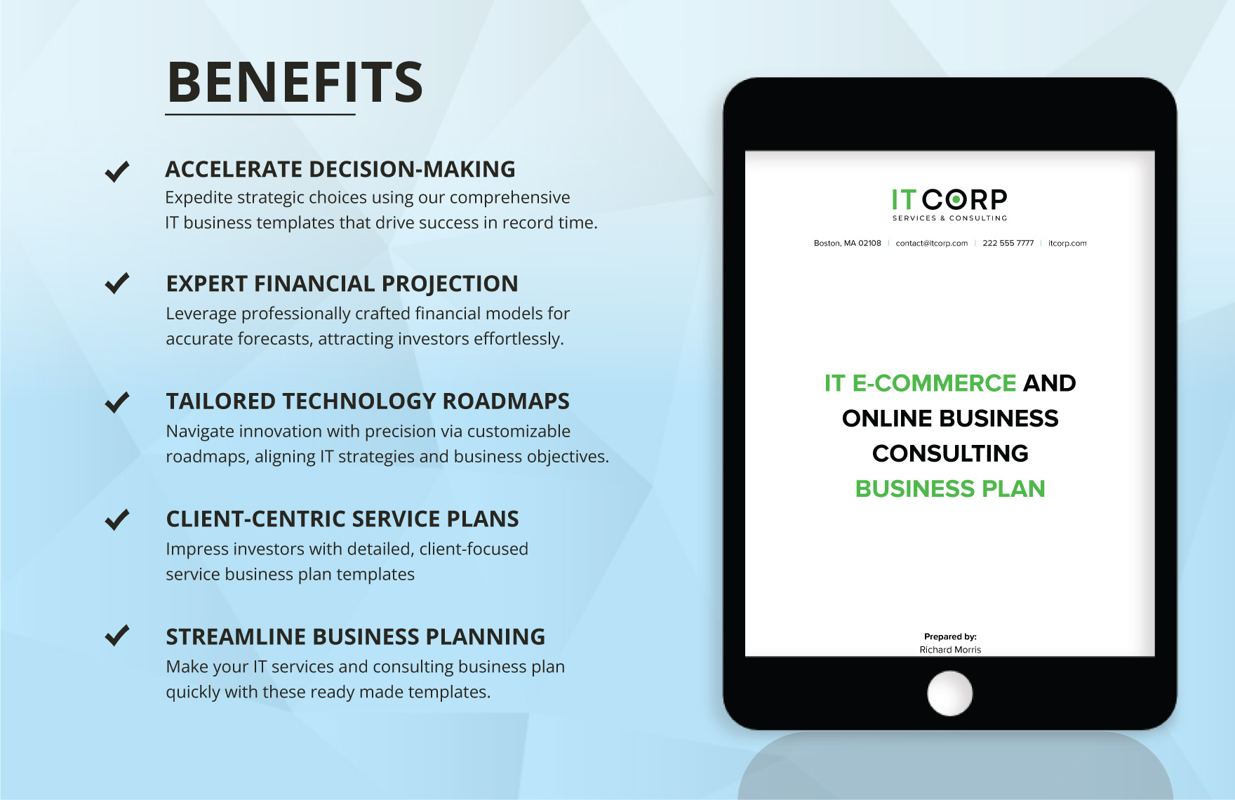 IT E-commerce & Online Business Consulting Business Plan Template