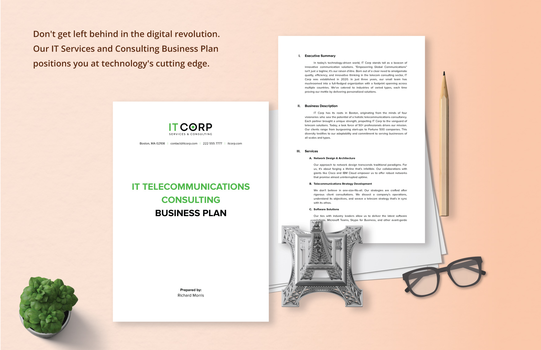 IT Telecommunications Consulting Business Plan Template