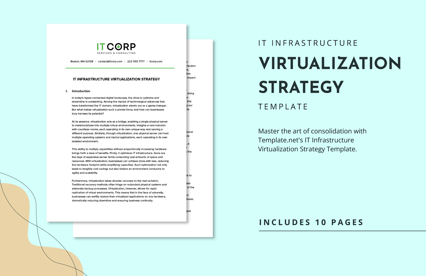 IT Infrastructure Virtualization Strategy Template