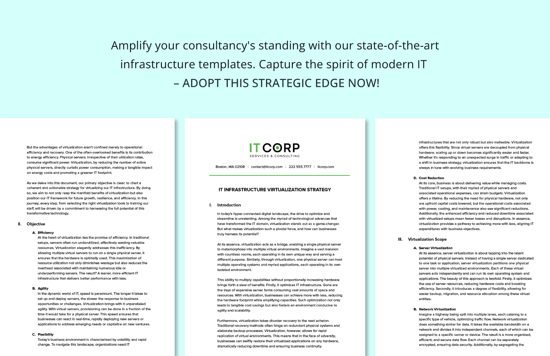 IT Infrastructure Virtualization Strategy Template