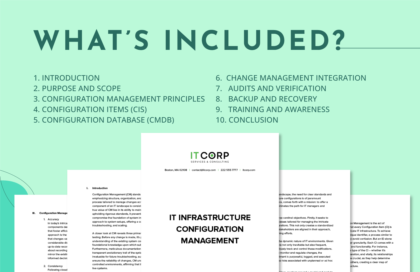 IT Infrastructure Configuration Management Template