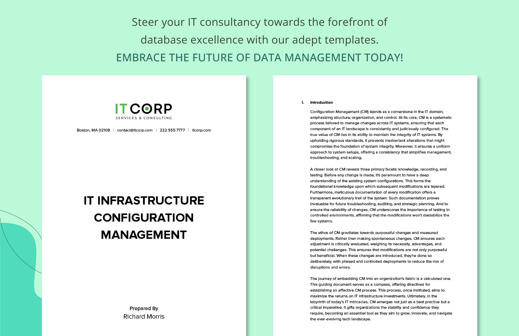 IT Infrastructure Configuration Management Template