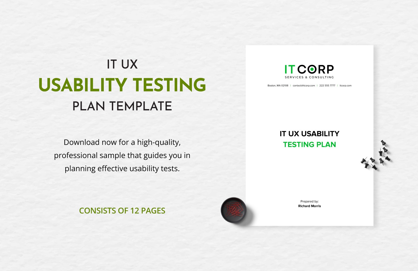IT UX Usability Testing Plan Template in Word, Google Docs, PDF