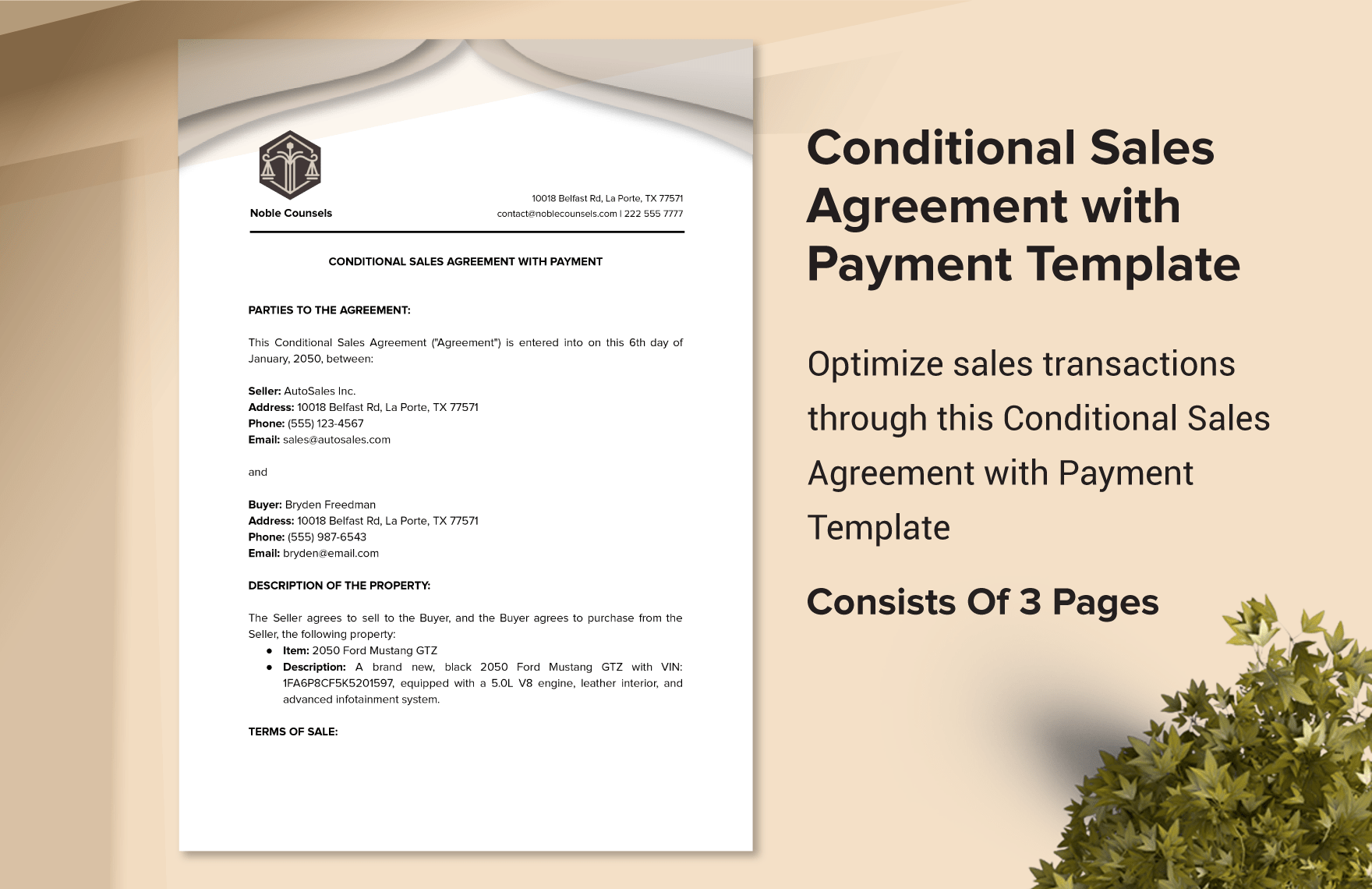 Conditional Sales Agreement with Payment Template