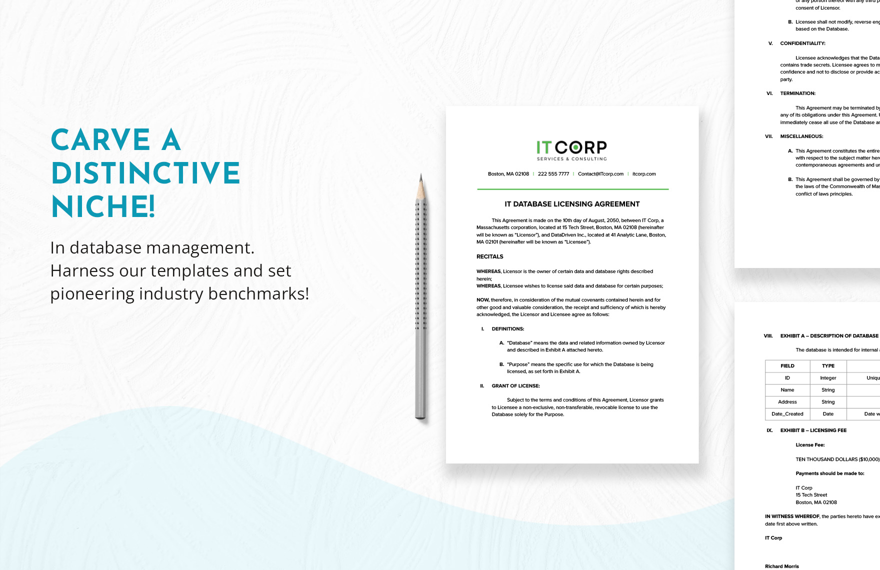 IT Database Licensing Agreement Template