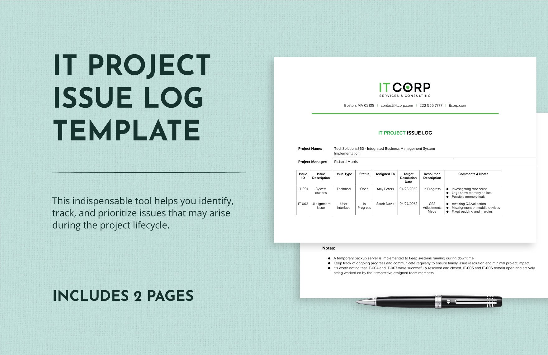 IT Project Issue Log Template