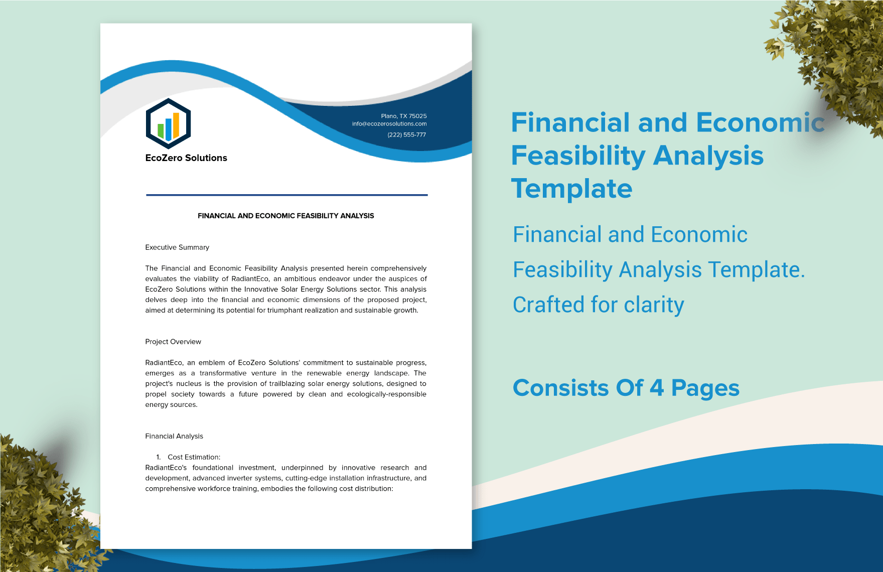 Financial and Economic Feasibility Analysis Template