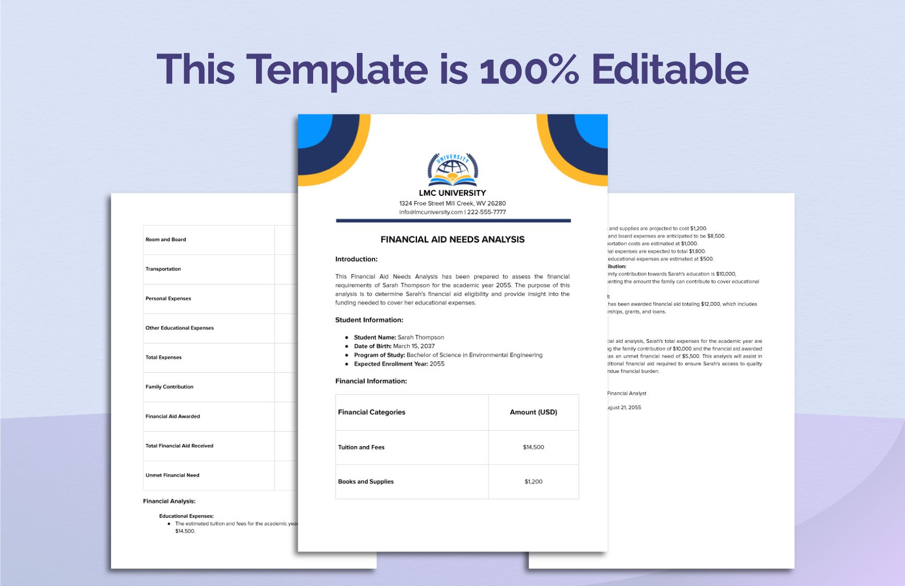 Financial Aid Needs Analysis Template