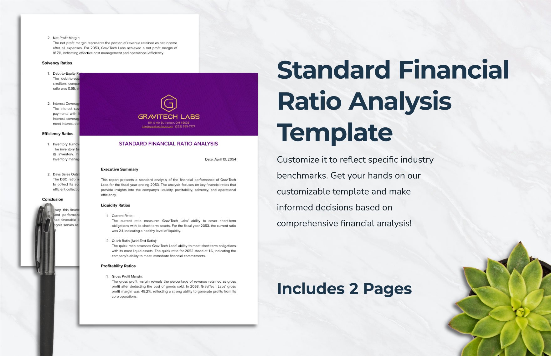 Standard Financial Ratio Analysis Template