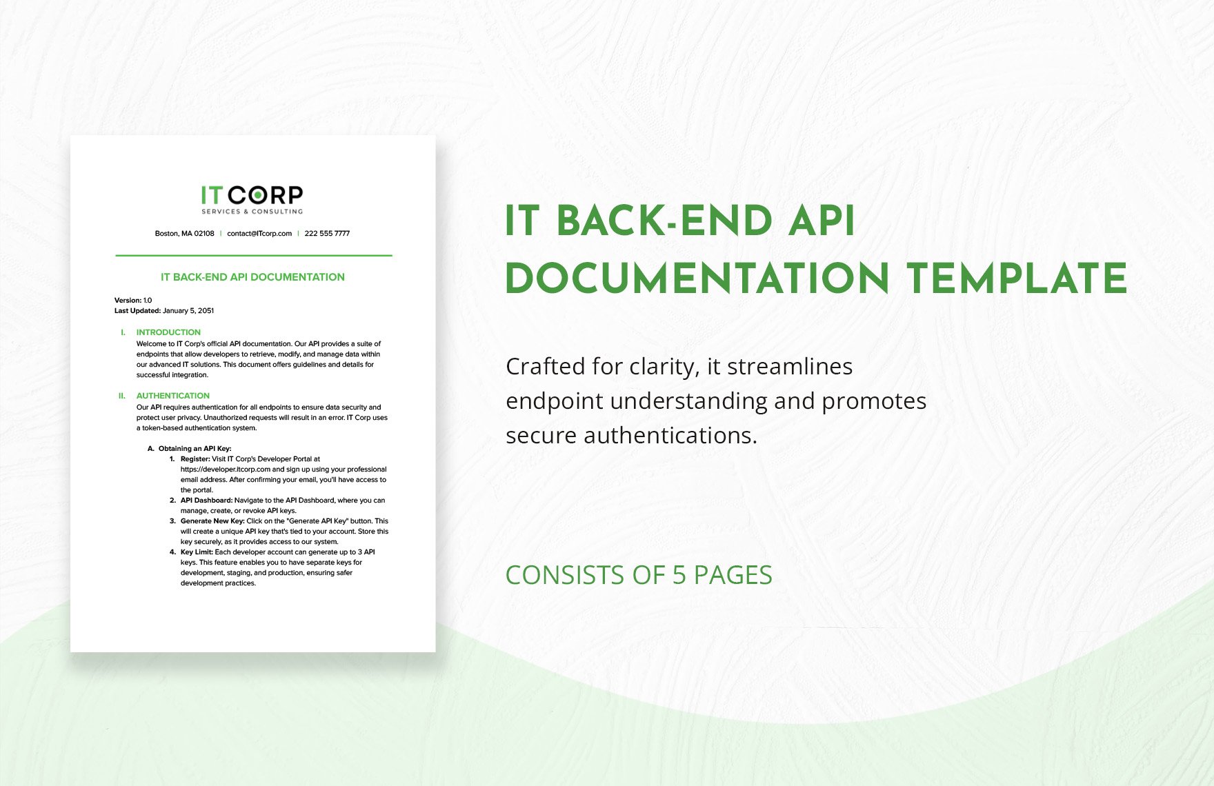IT Back-End API Documentation Template in Word, Google Docs, PDF