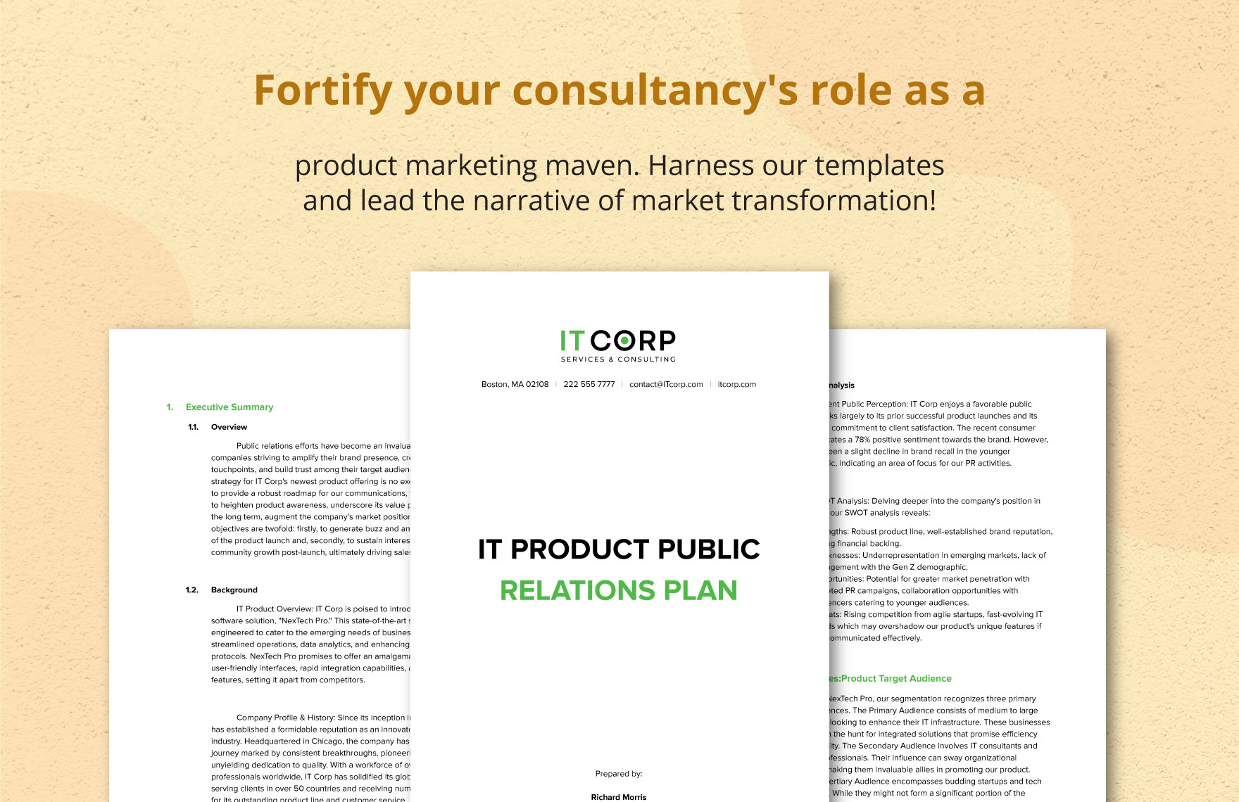 IT Product Public Relations Plan Template