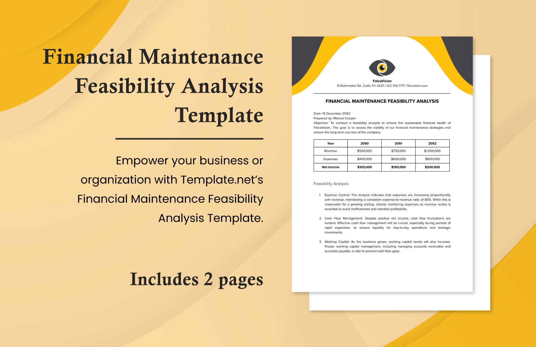 Financial Maintenance Feasibility Analysis Template