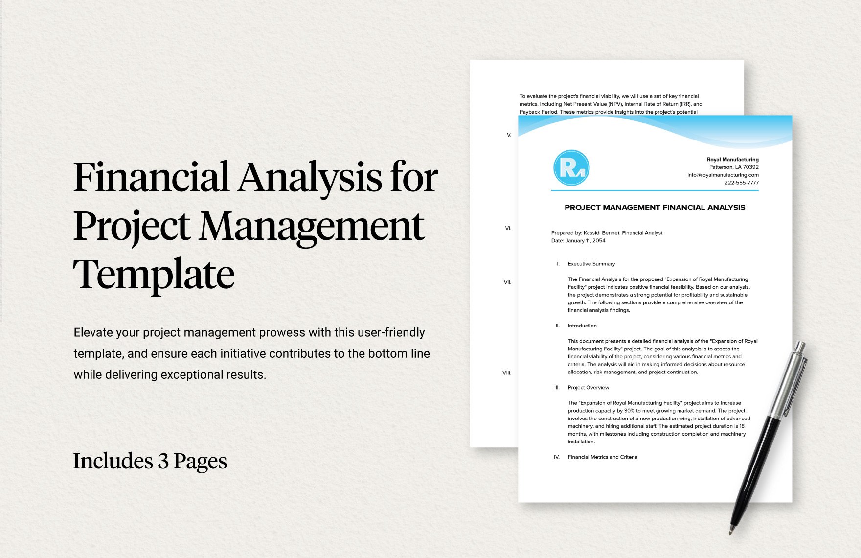 Financial Analysis for Project Management Template