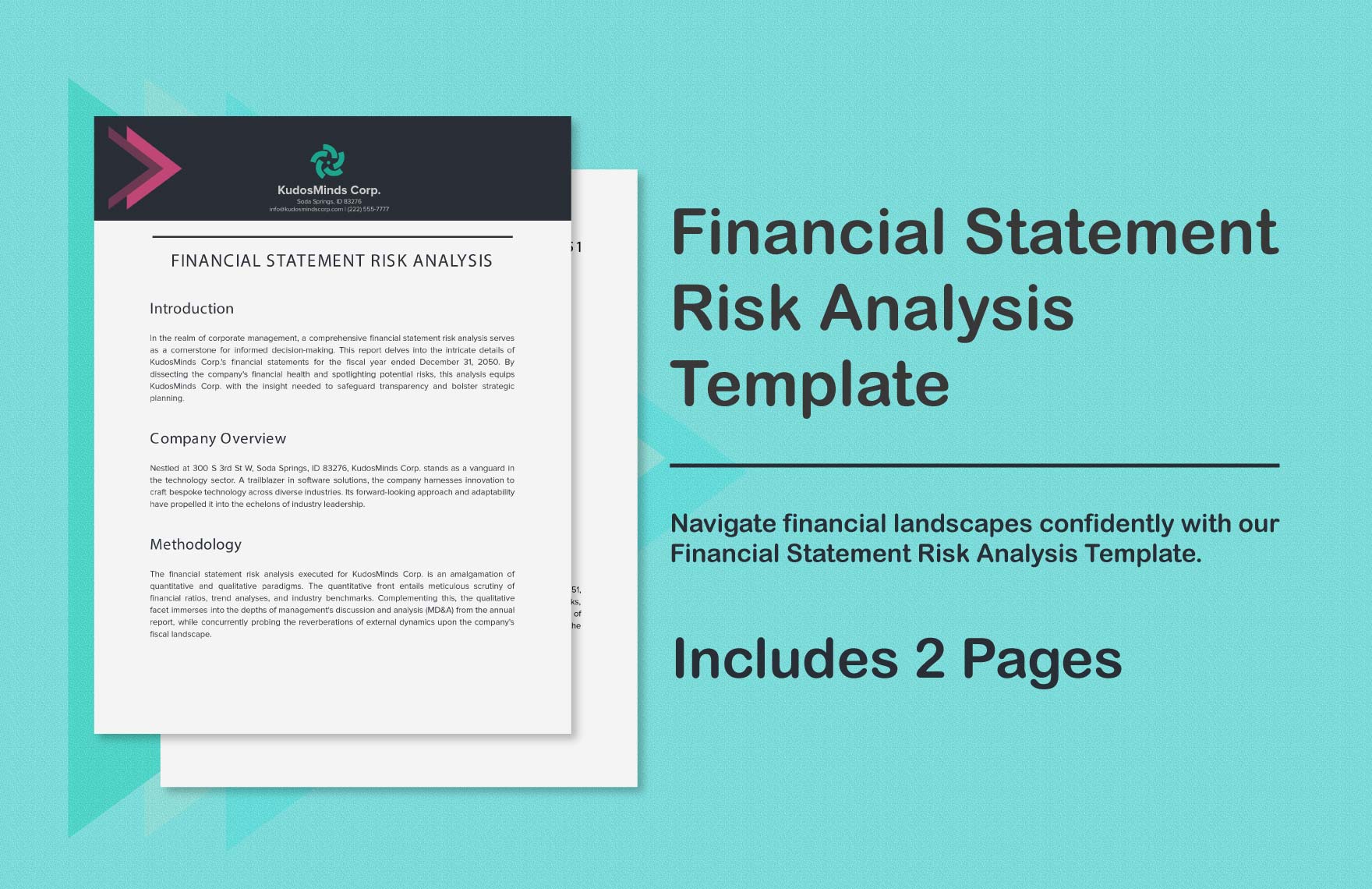 Financial Statement Risk Analysis Template
