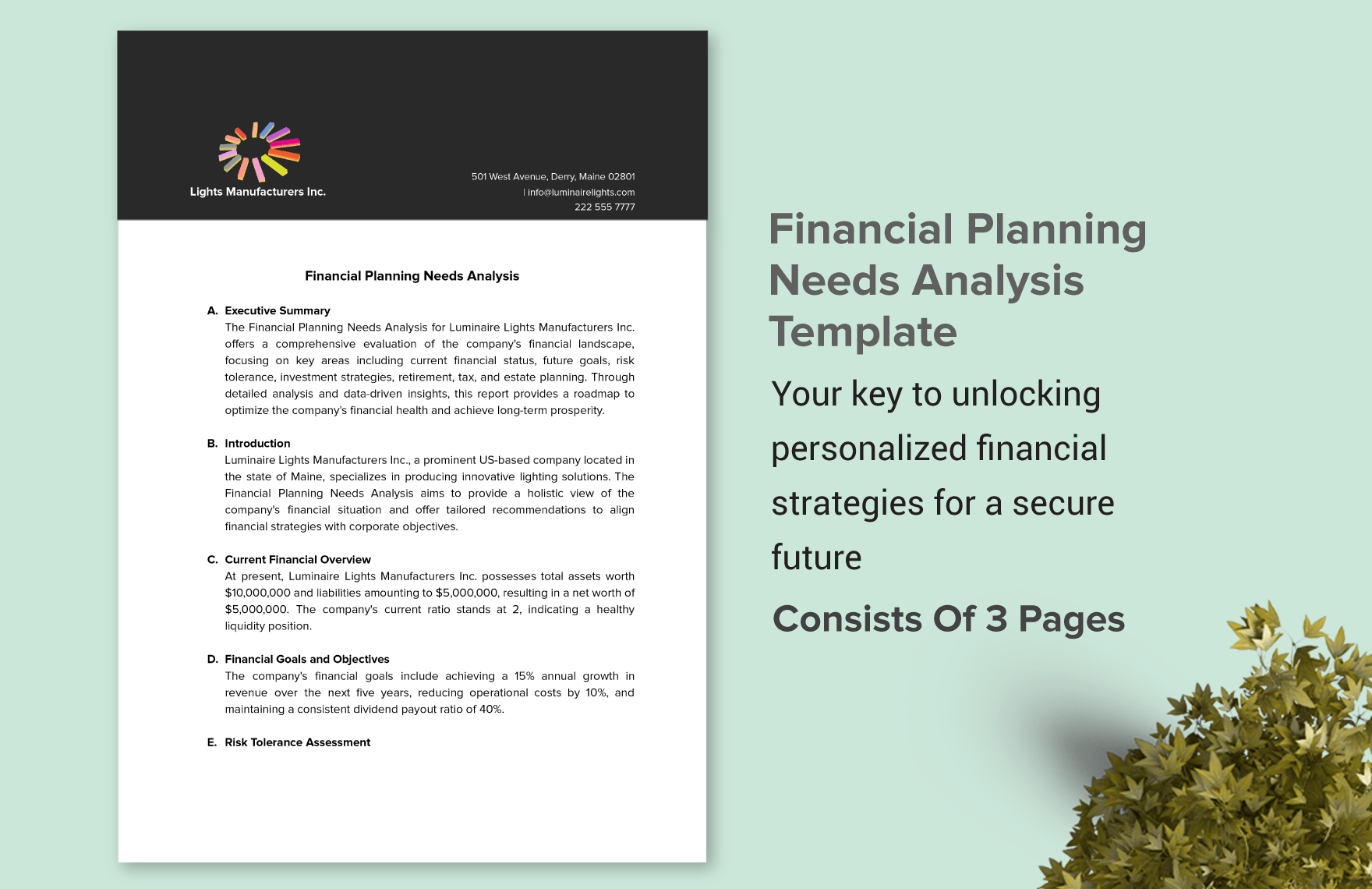 Financial Planning Needs Analysis Template