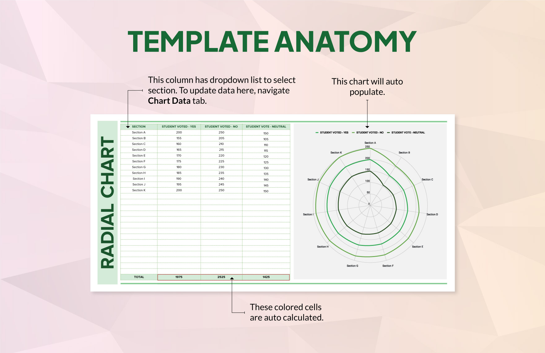 Radial Chart Template
