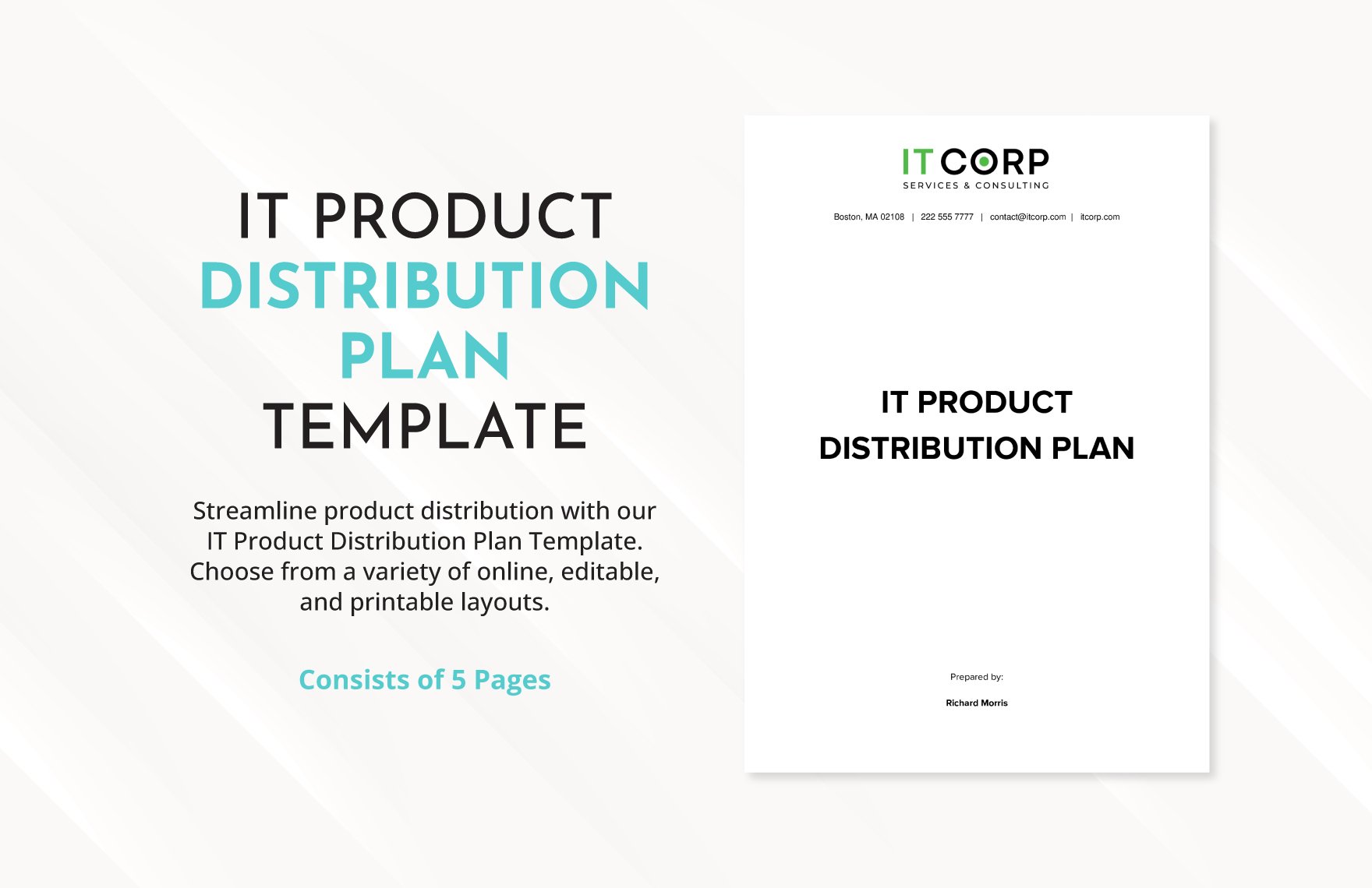 IT Product Distribution Plan Template in Word, Google Docs, PDF