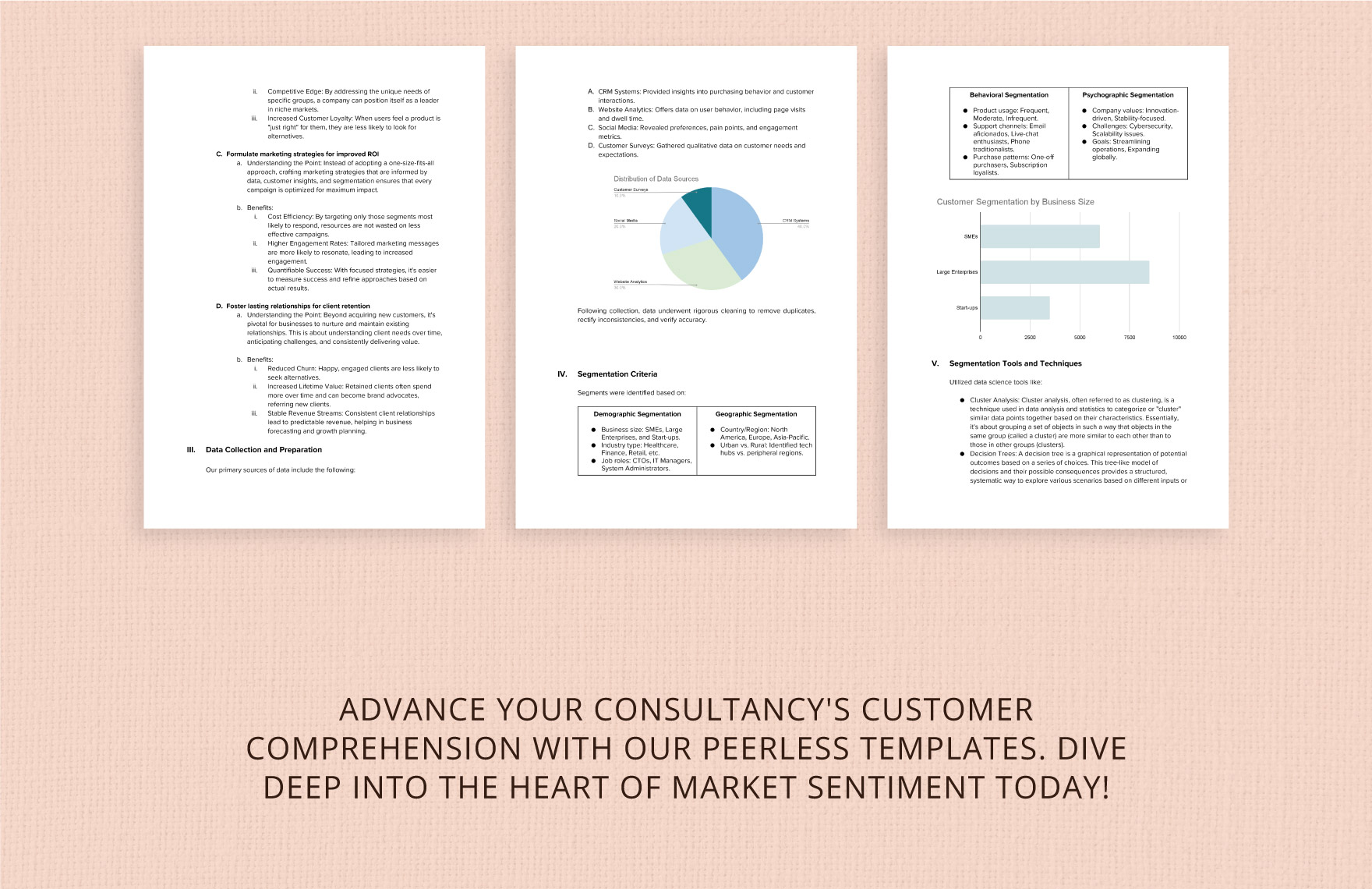 IT Customer Segmentation Analysis Template