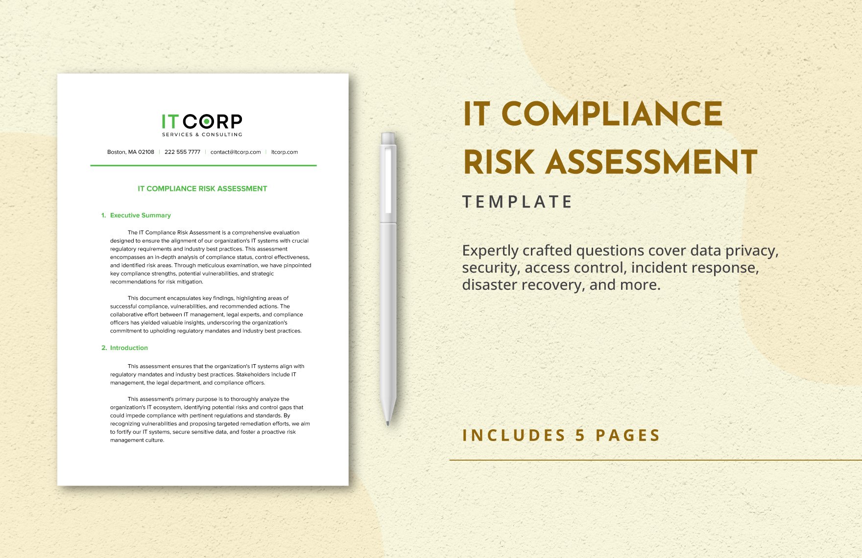 IT Compliance Risk Assessment Template