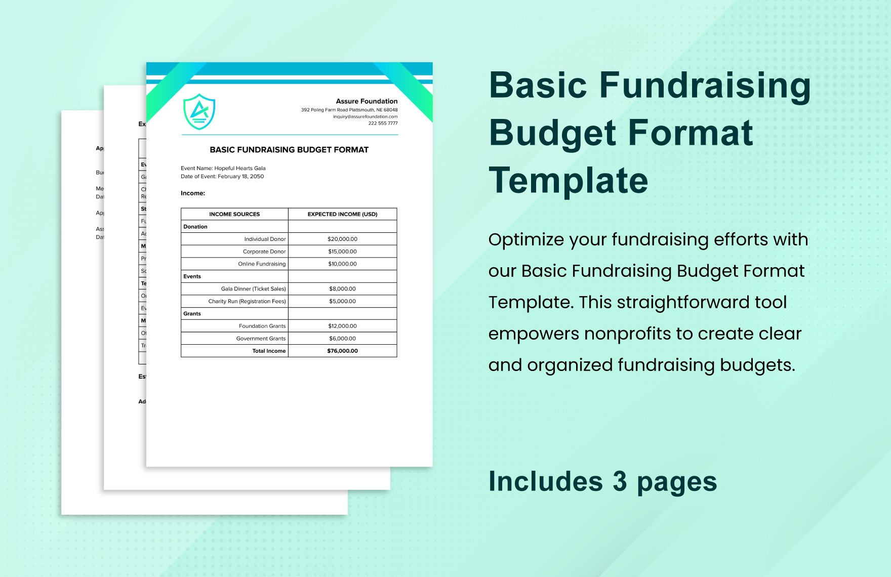Basic Fundraising Budget Format Template