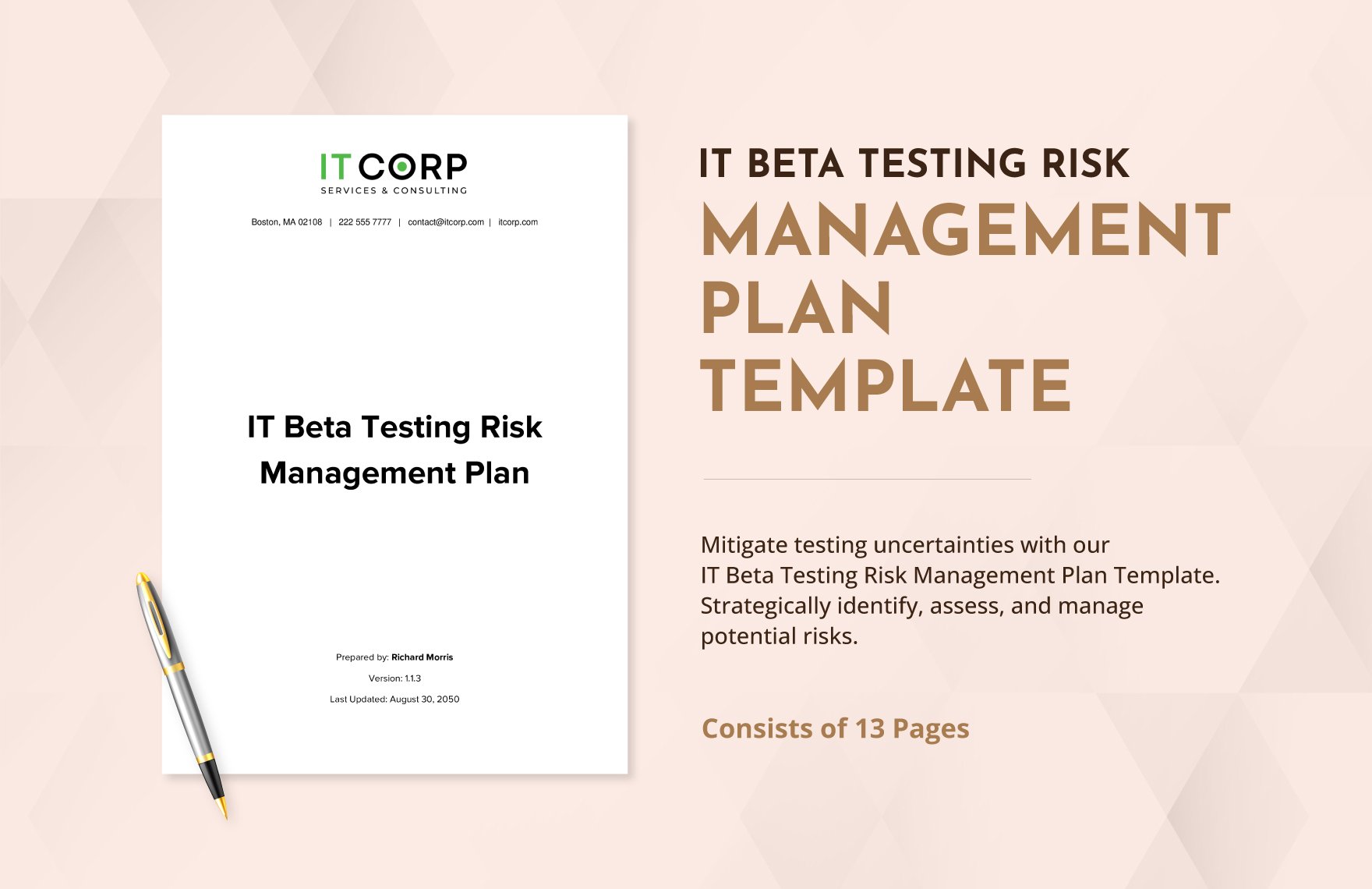 IT Beta Testing Risk Management Plan Template