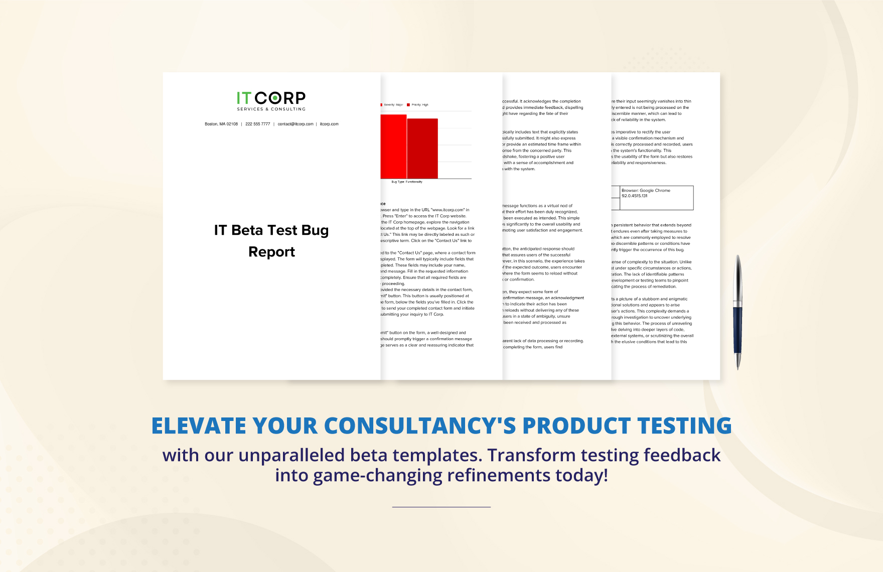 IT Beta Test Bug Report Template