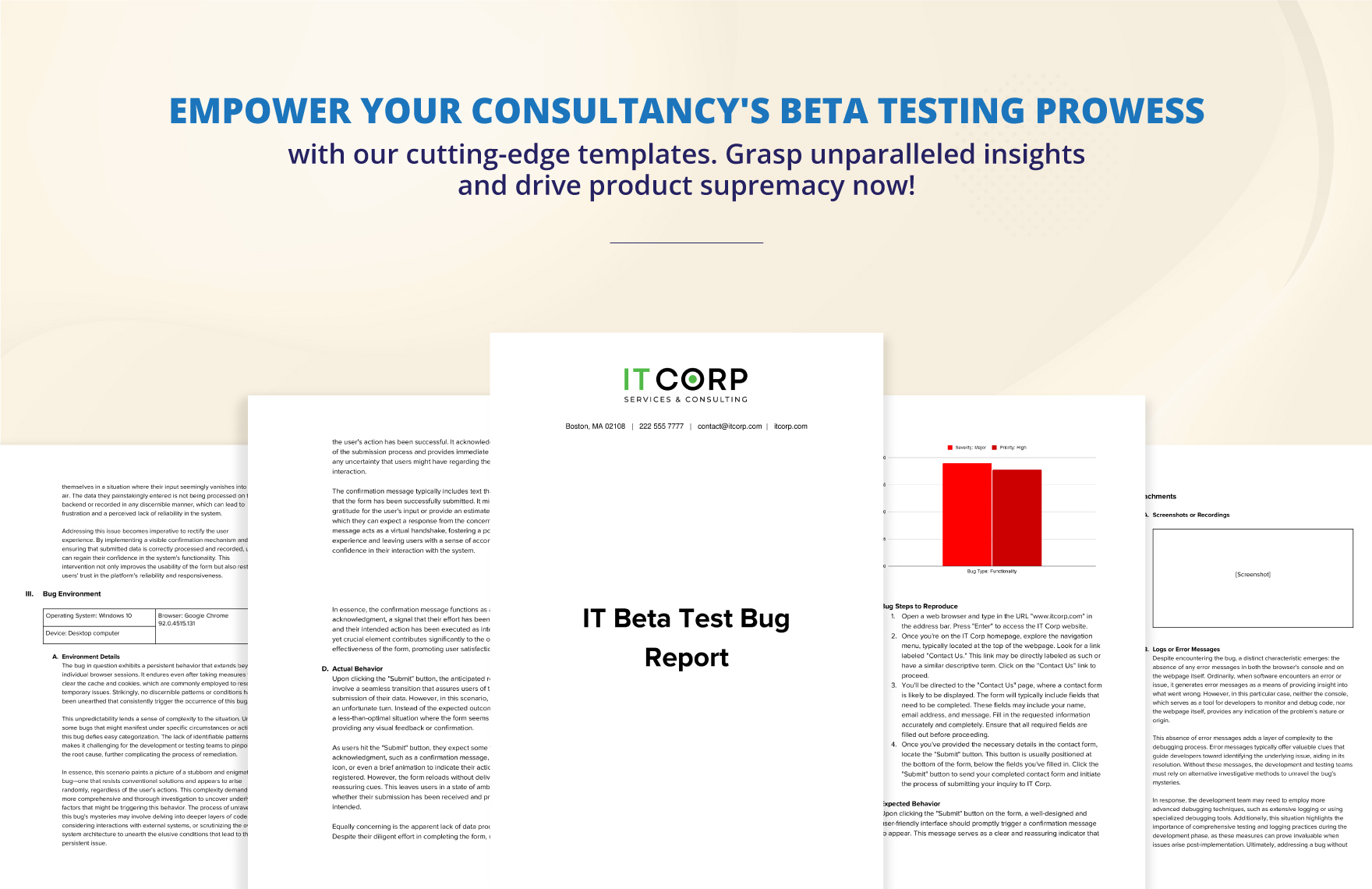 IT Beta Test Bug Report Template