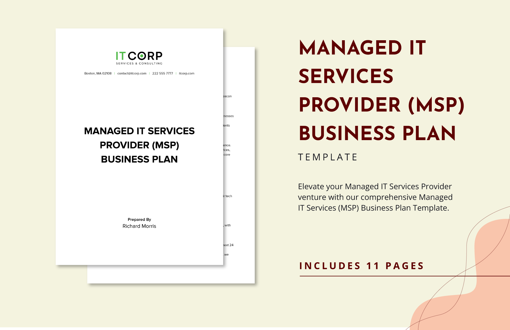 Managed IT Services Provider (MSP) Business Plan Template in Word, Google Docs, PDF