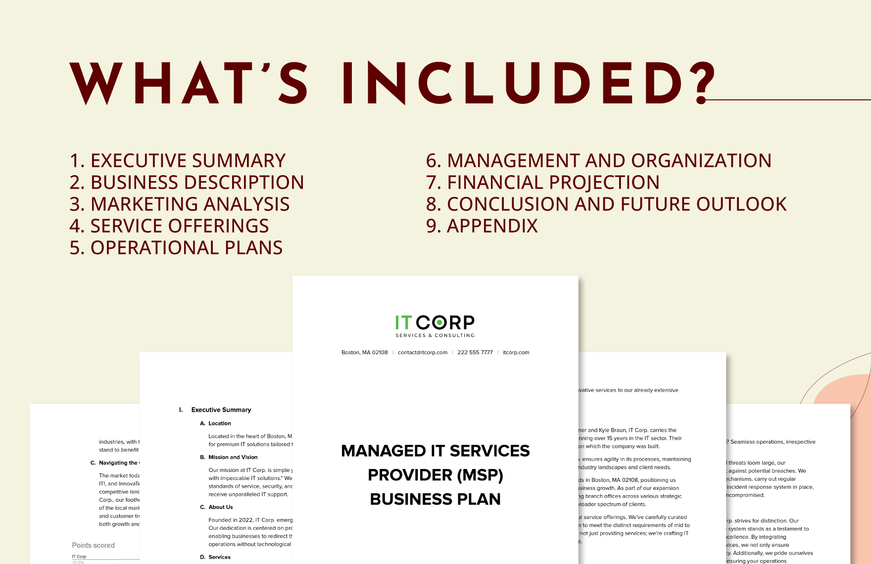 Managed IT Services Provider (MSP) Business Plan Template