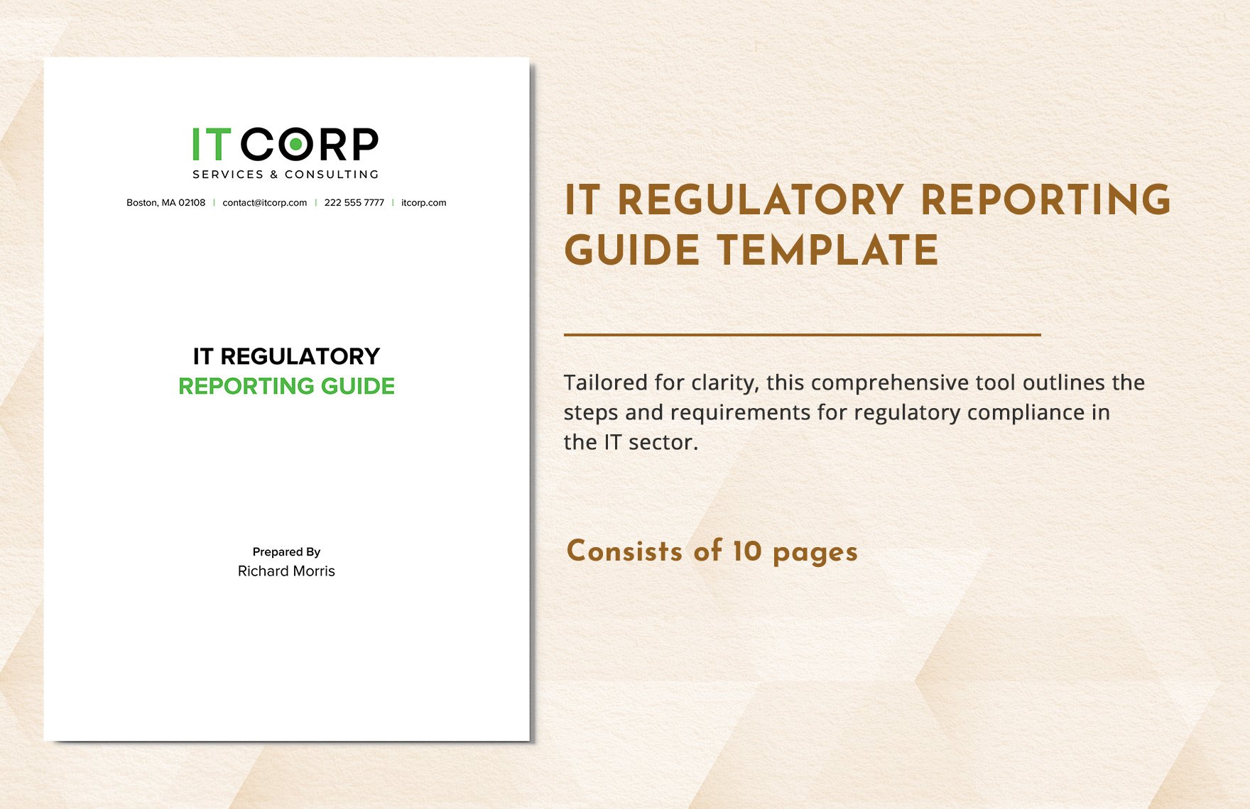 IT Regulatory Reporting Guide Template in Word, Google Docs, PDF