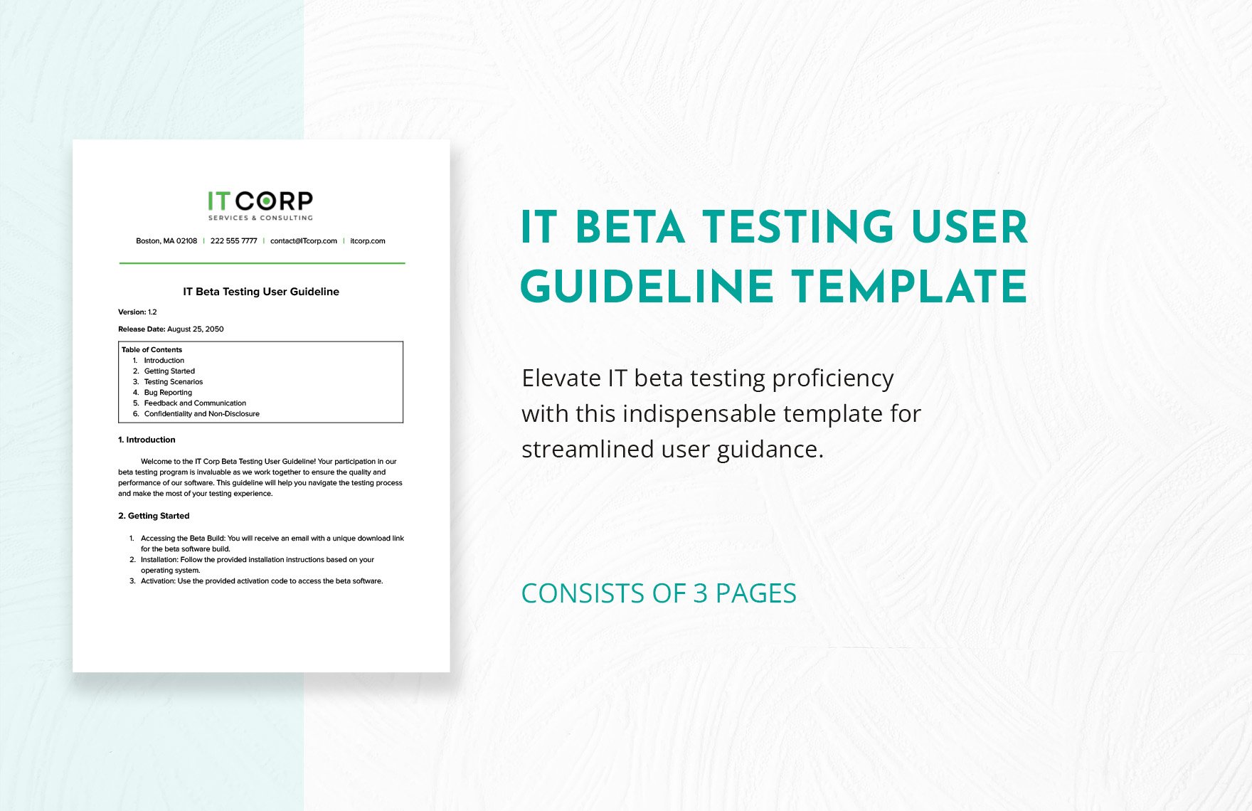IT Beta Testing User Guideline Template in Word, Google Docs, PDF