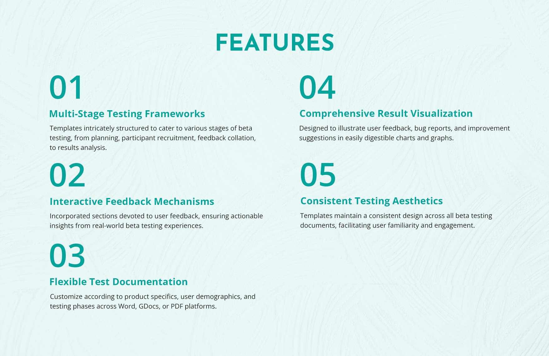 IT Beta Testing User Guideline Template