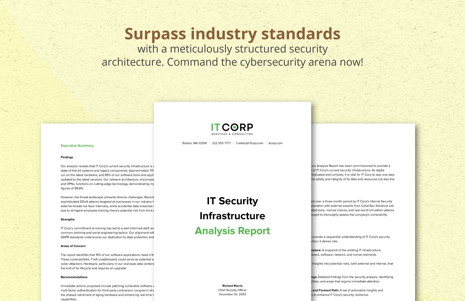 IT Security Infrastructure Analysis Report Template