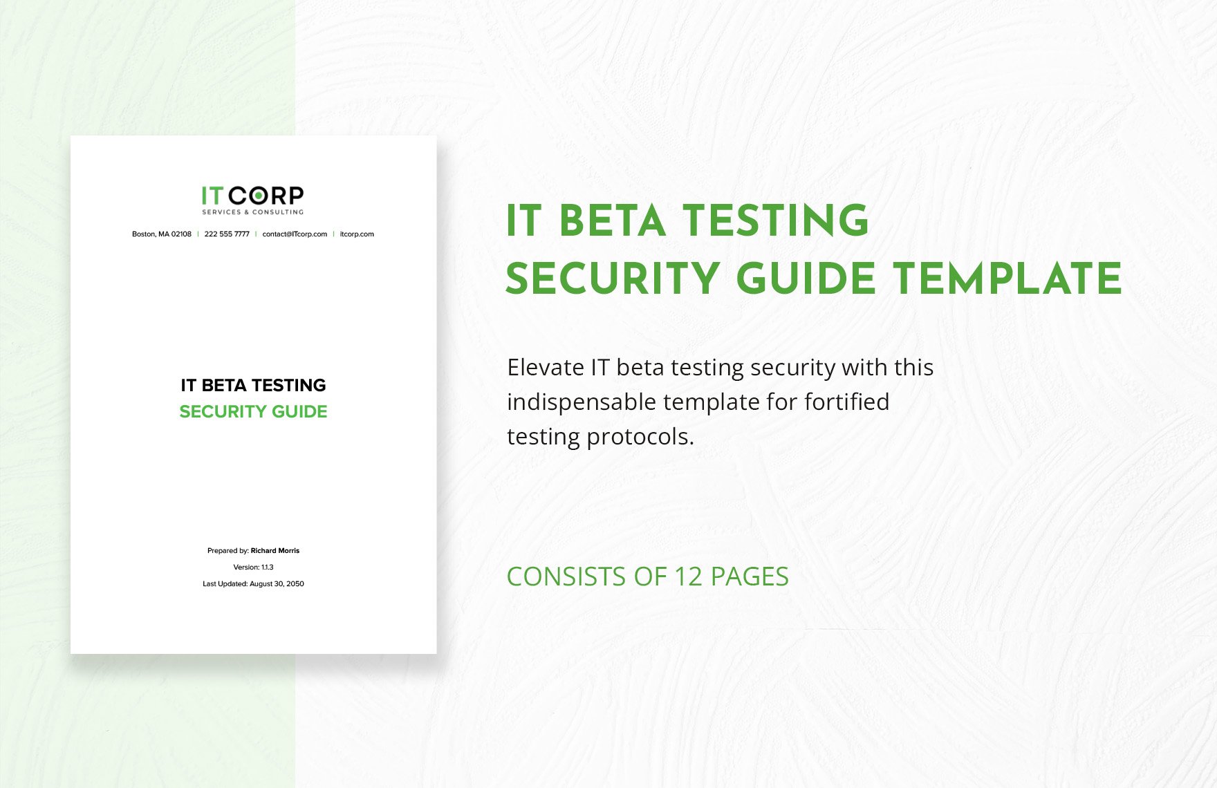 IT Beta Testing Security Guide Template in Word, Google Docs, PDF