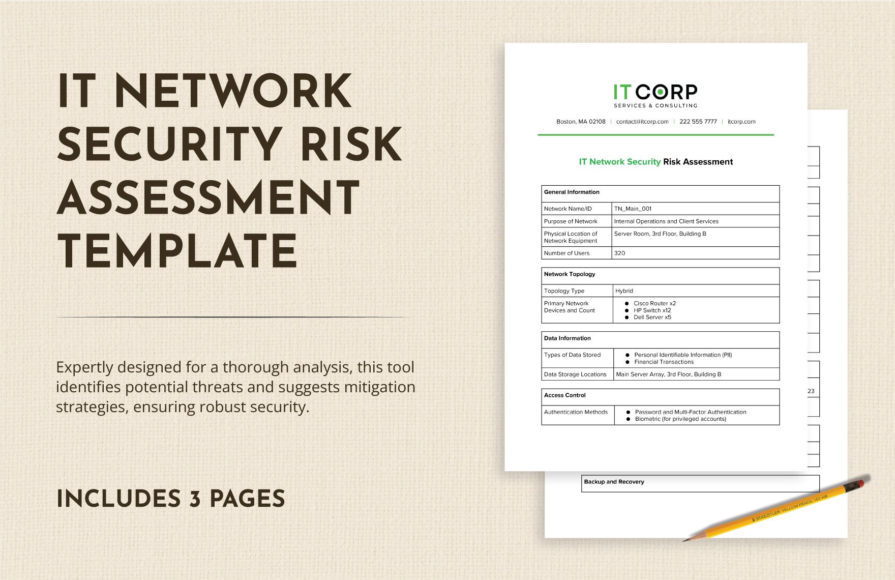 IT Network Security Risk Assessment Template