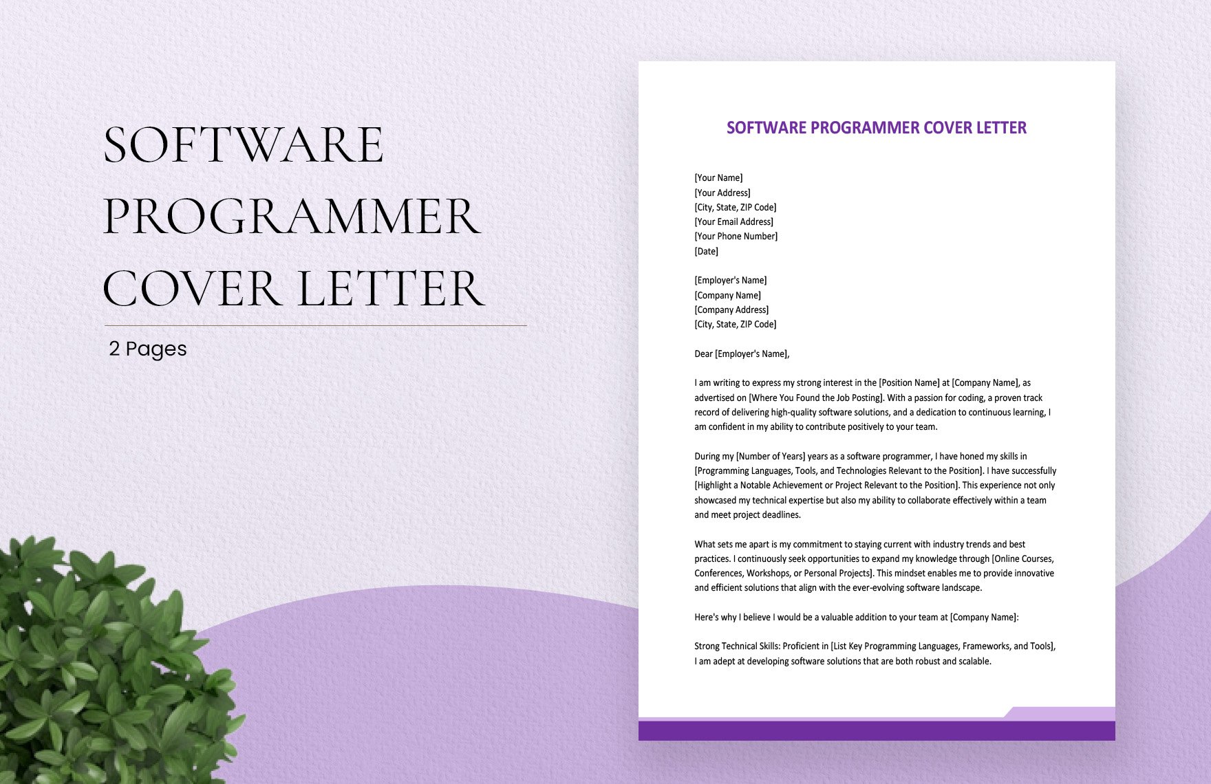 Software Programmer Cover Letter in Word, Google Docs