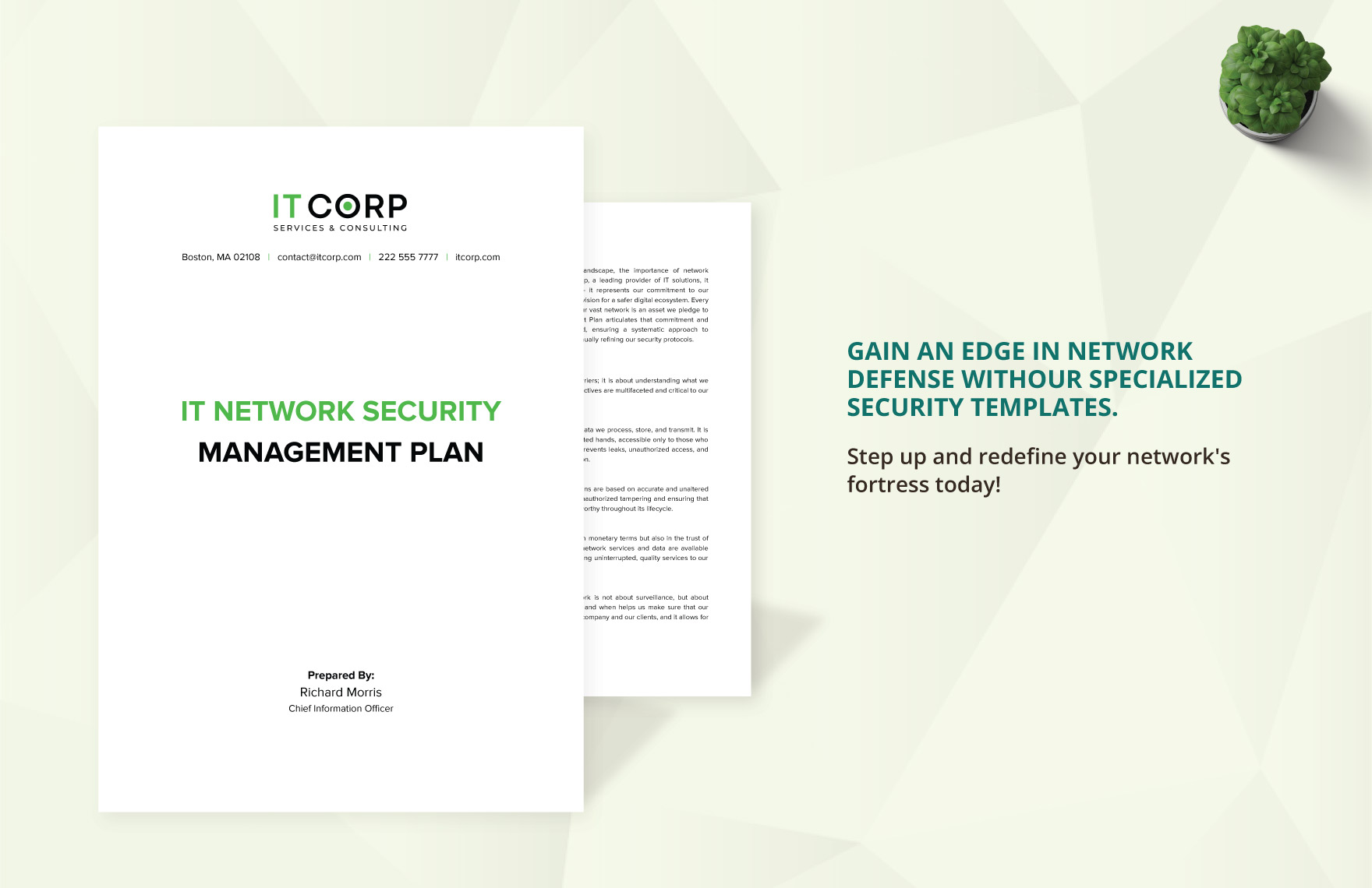 IT Network Security Management Plan Template