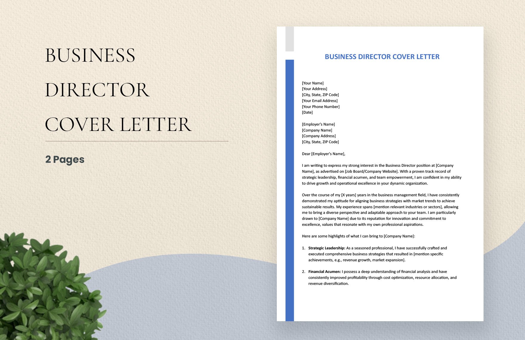 Business Director Cover Letter