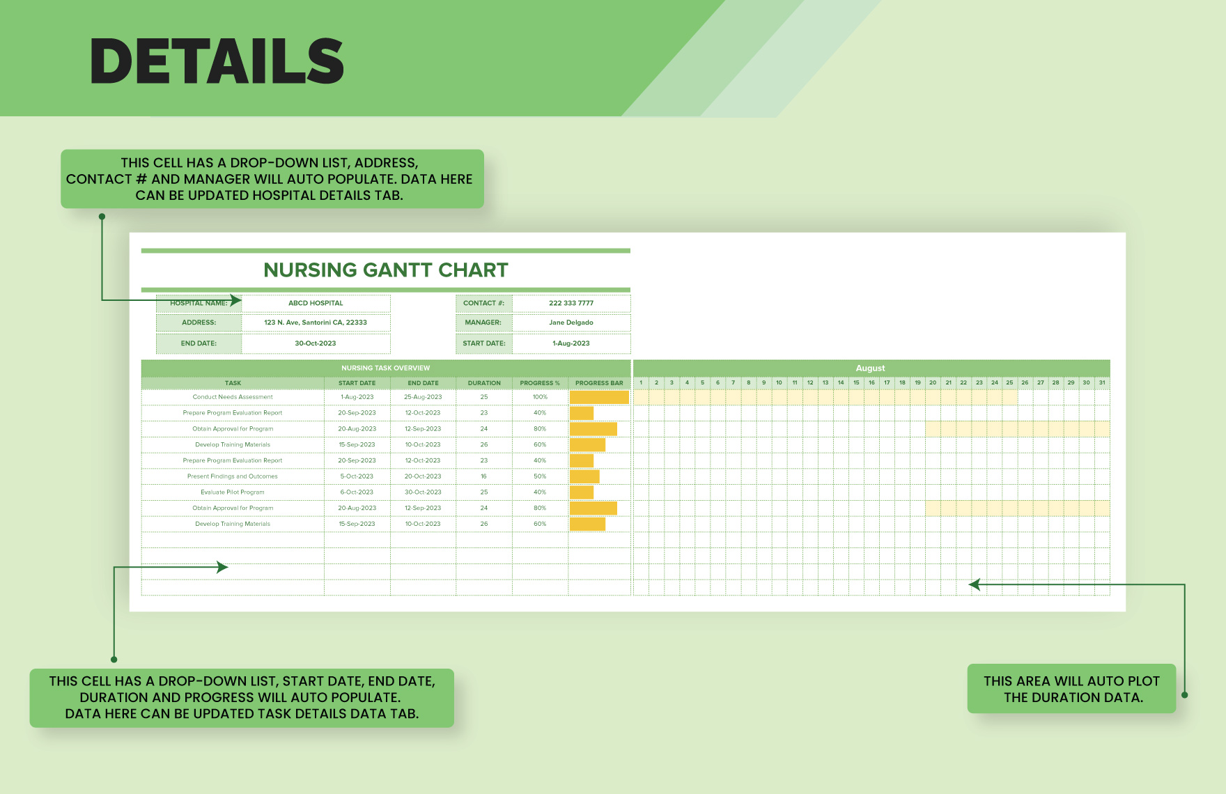 Nursing Gantt Chart Template