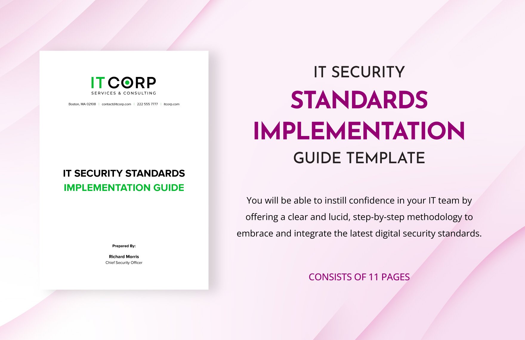 IT Security Standards Implementation Guide Template