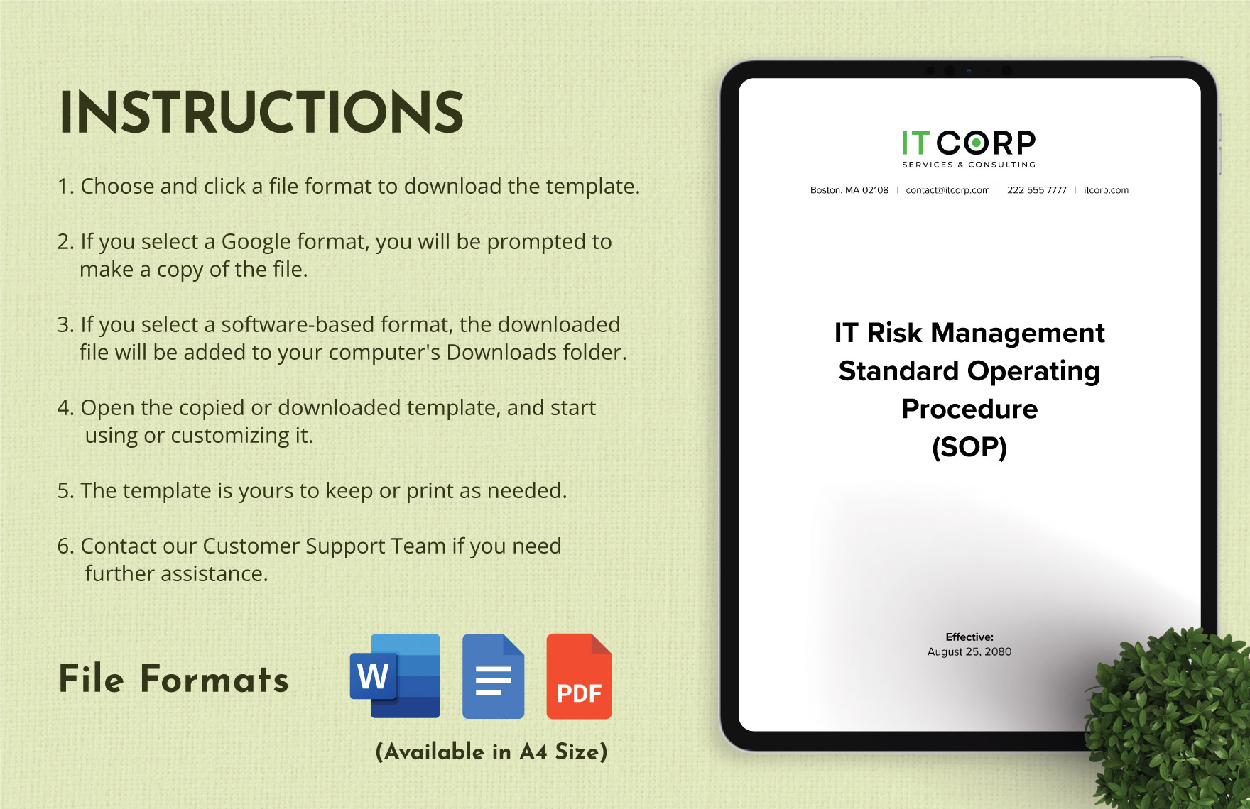 IT Risk Management Standard Operating Procedure (SOP) Template