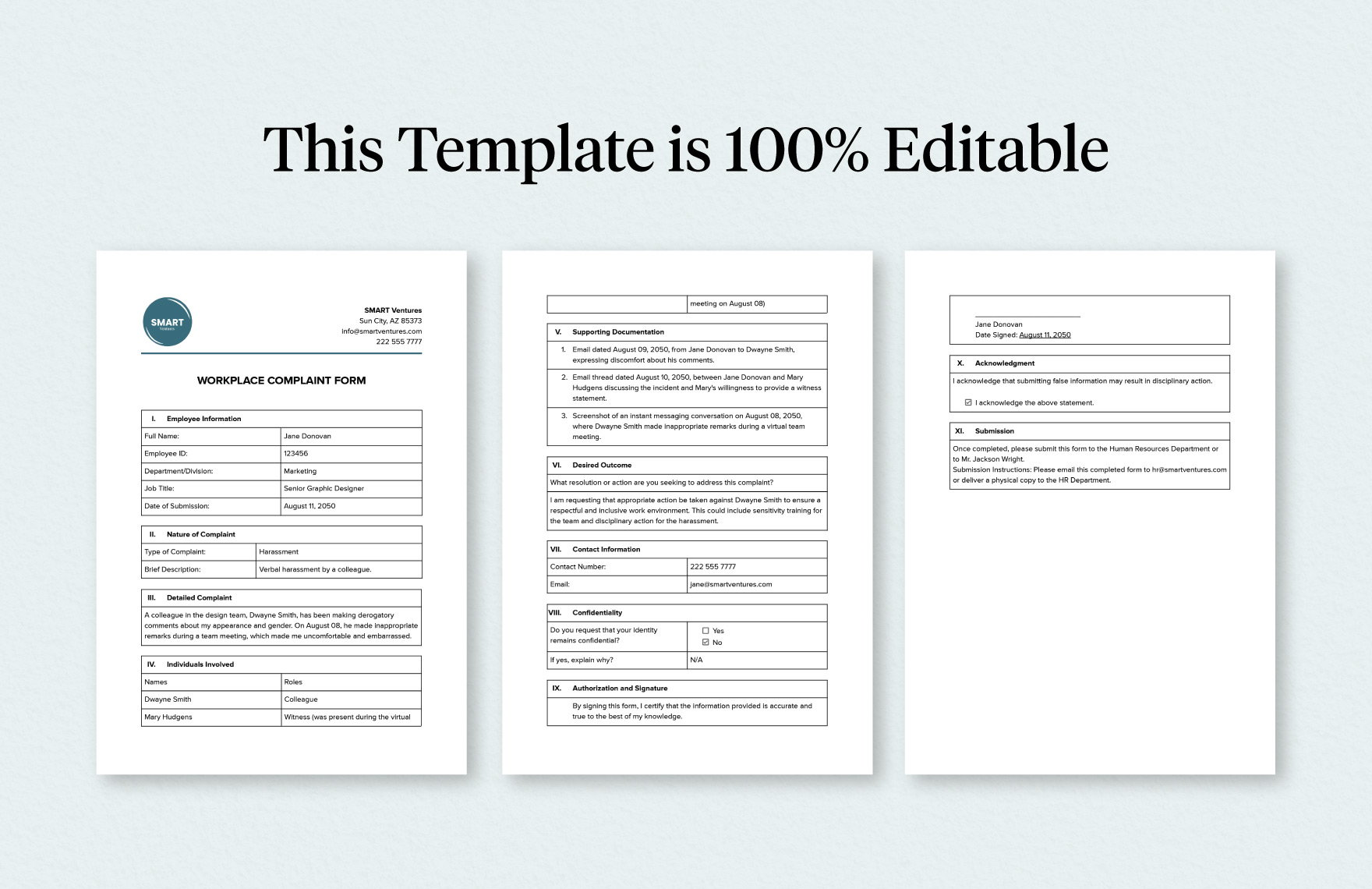 Workplace Complaint Form Template