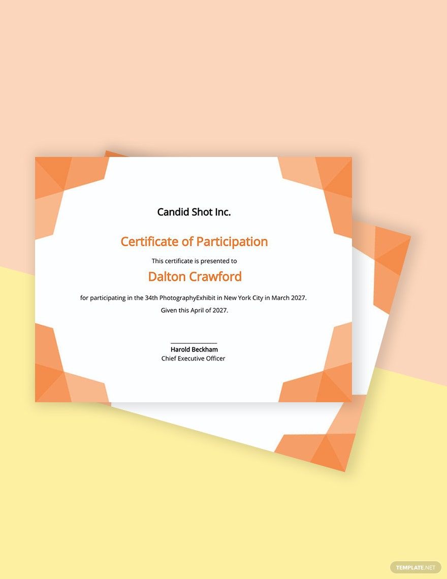 Photography Participation Certificate Template