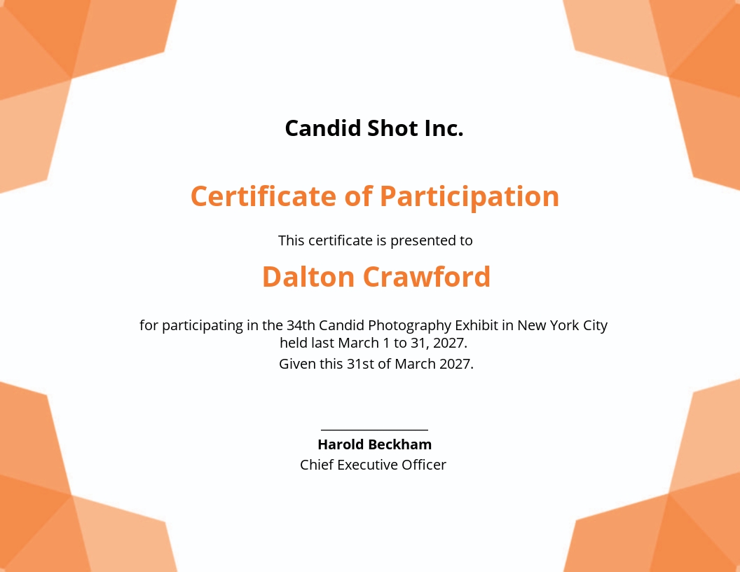 Photography Participation Certificate Template.jpe