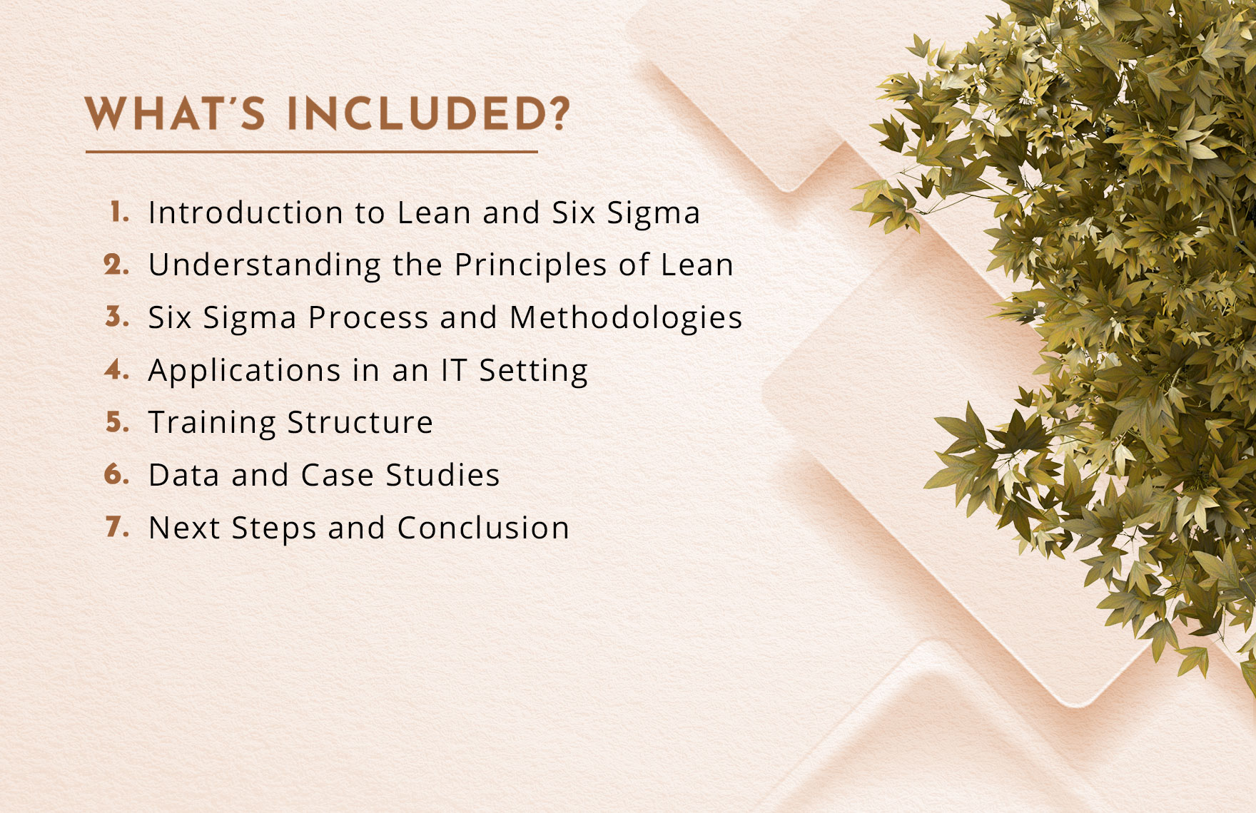 IT Lean and Six Sigma Training Guide Template